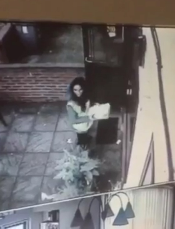  فتاة حسناء تطرق الباب ولص ماكر يقتحم المنزل.. شاهد الفيديو صورة رقم 4