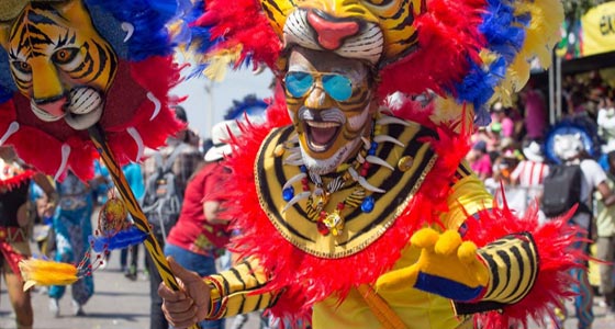 فيديو كرنفال سنوي في كولومبيا: رقص ومسيرات وثياب ملونة صورة رقم 20