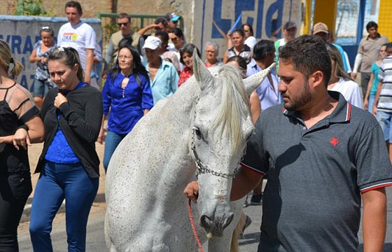 حصان يبكي وطيور تنتحر.. عادات حيوانات غريبة في البرازيل صورة رقم 4