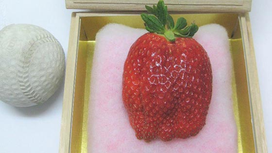 في اليابان: حبة فراولة بـ4 آلاف دولار وبطيخ فاخر بـ27 ألف دولار! صورة رقم 2