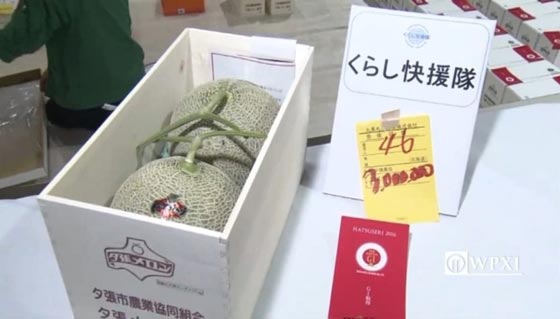 في اليابان: حبة فراولة بـ4 آلاف دولار وبطيخ فاخر بـ27 ألف دولار! صورة رقم 8