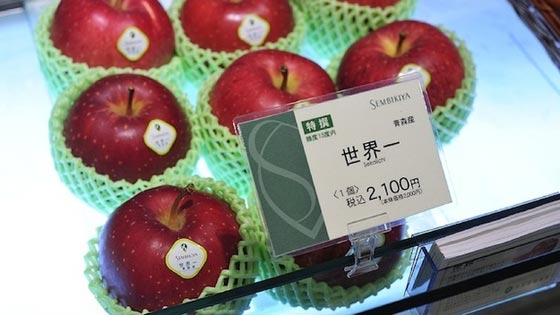 في اليابان: حبة فراولة بـ4 آلاف دولار وبطيخ فاخر بـ27 ألف دولار! صورة رقم 12
