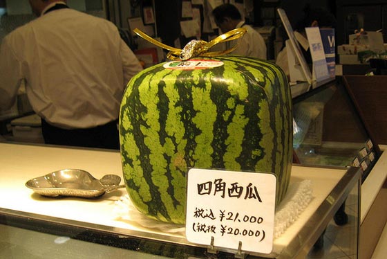في اليابان: حبة فراولة بـ4 آلاف دولار وبطيخ فاخر بـ27 ألف دولار! صورة رقم 13