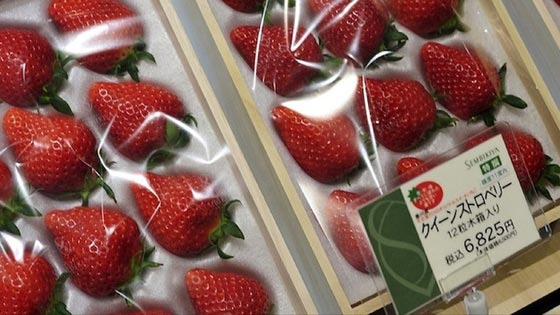 في اليابان: حبة فراولة بـ4 آلاف دولار وبطيخ فاخر بـ27 ألف دولار! صورة رقم 14
