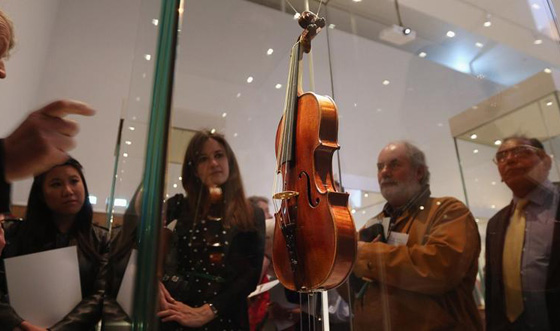 ستارديفاريوس الكمان الغامض حلم كل عازف في العالم  صورة رقم 3