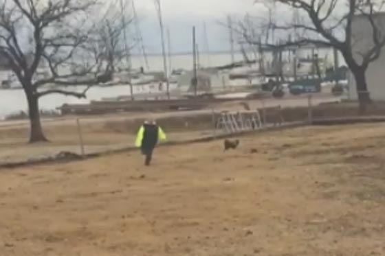 فيديو مضحك: طفل يصاب بالرعب الشديد  من ديك يركض خلفه صورة رقم 1