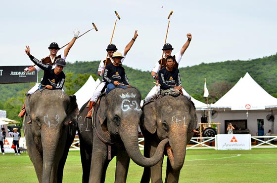  تايلاند: الفيلة تلعب البولو من أجل صغارها وتجمع 1.3 مليون دولار  صورة رقم 3
