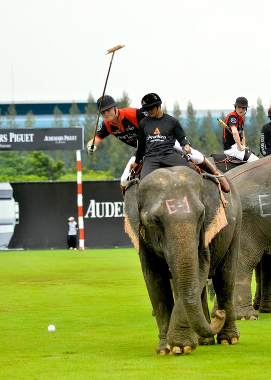  تايلاند: الفيلة تلعب البولو من أجل صغارها وتجمع 1.3 مليون دولار  صورة رقم 5