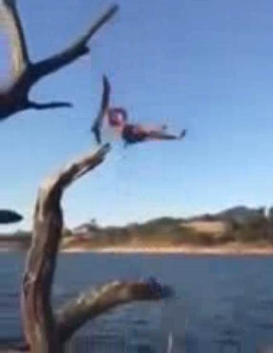 سقوط مدوّي لشاب تسلق قمة شجرة.. فيديو صورة رقم 2