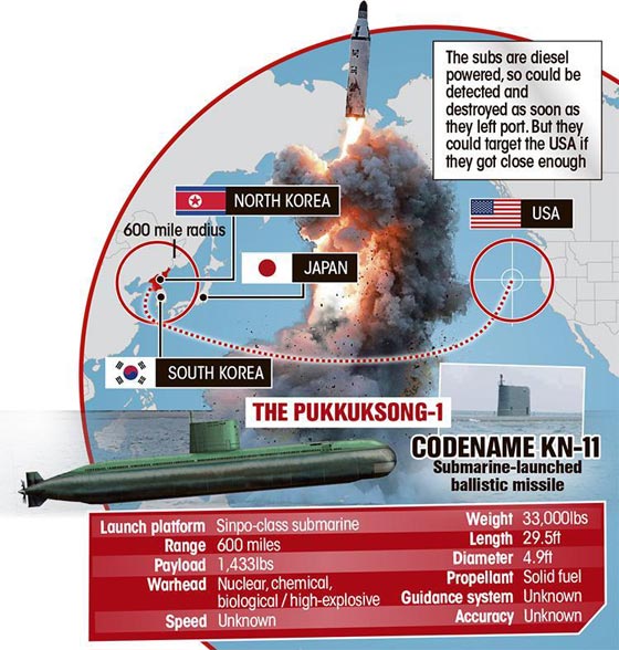 امريكا تخترق برنامج صواريخ كوريا الشمالية وتدمر صاروخا بعد 5 ثوان من اطلاقه صورة رقم 12