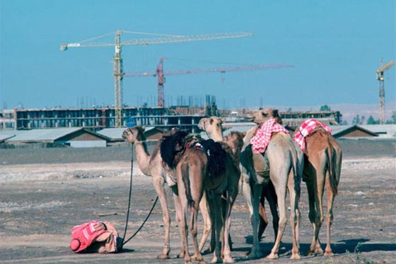 كيف تحولت دبي من صحراء قاحلة الى مدينة عالمية متكاملة؟ صور صورة رقم 9