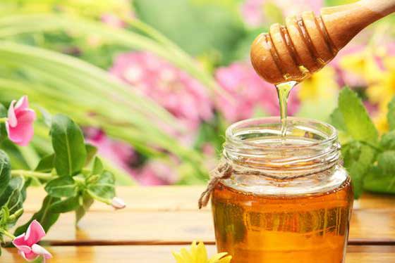 فوائد العسل فوق ما تتخيل: غذاء وشفاء ودواء وشباب الجسم والبشرة صورة رقم 6