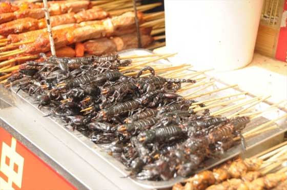  مطاعم صينية تقدم وجبات (شهية!) من الحشرات: صراصير، عناكب وعقارب! صورة رقم 3