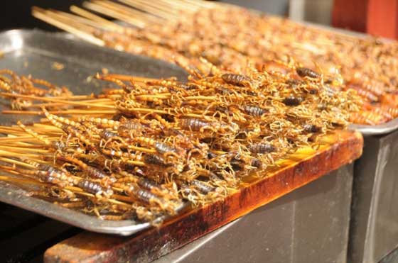  مطاعم صينية تقدم وجبات (شهية!) من الحشرات: صراصير، عناكب وعقارب! صورة رقم 4
