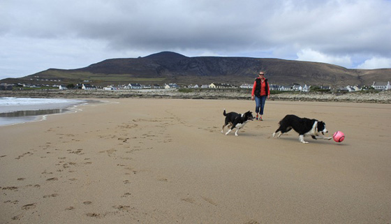 إيرلندا: شاطئ غمرته العواصف يعود الى الحياة بعد 30 عامًا من اختفائه صورة رقم 6