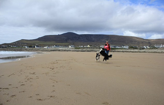 إيرلندا: شاطئ غمرته العواصف يعود الى الحياة بعد 30 عامًا من اختفائه صورة رقم 10