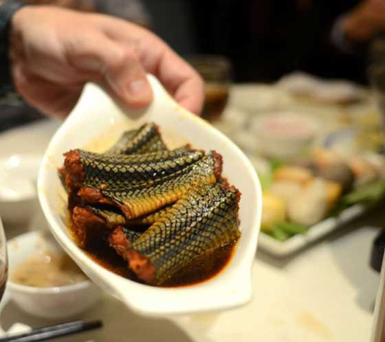 صور غريبة.. لحوم الزواحف والسلاحف من أشهى الأطباق الصينية صورة رقم 2