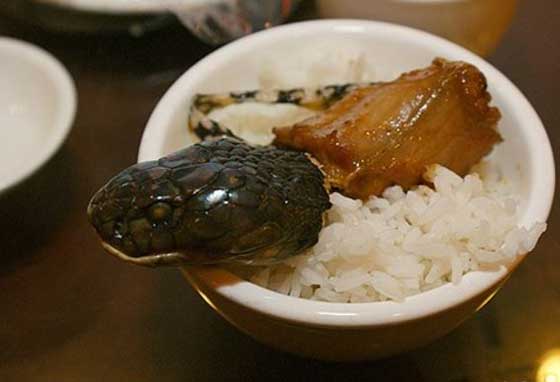 صور غريبة.. لحوم الزواحف والسلاحف من أشهى الأطباق الصينية صورة رقم 1
