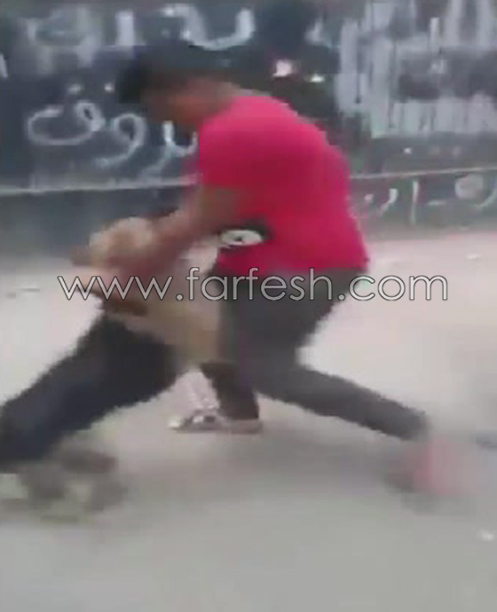 فيديو مذهل: طفل مصري شجاع يصارع كلب مفترس ويهزمه ويشل حركته! صورة رقم 2