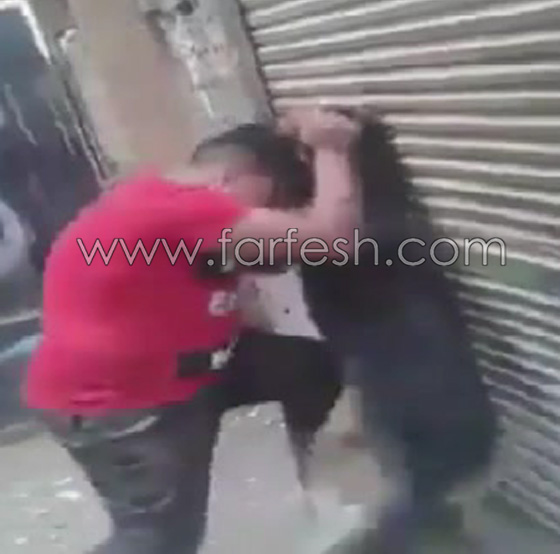 فيديو مذهل: طفل مصري شجاع يصارع كلب مفترس ويهزمه ويشل حركته! صورة رقم 7