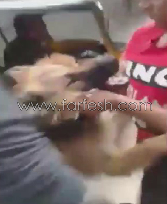 فيديو مذهل: طفل مصري شجاع يصارع كلب مفترس ويهزمه ويشل حركته! صورة رقم 8