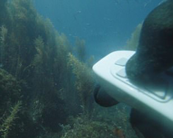  أول كاميرا درون بشكل سمكة روبوت ذكية تنجح في الغوص تحت الماء صورة رقم 18
