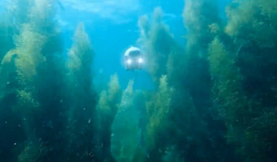  أول كاميرا درون بشكل سمكة روبوت ذكية تنجح في الغوص تحت الماء صورة رقم 15
