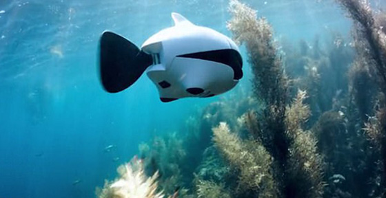  أول كاميرا درون بشكل سمكة روبوت ذكية تنجح في الغوص تحت الماء صورة رقم 2