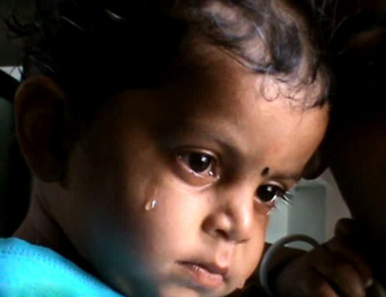  فيديو حزين جدا: طفل يرضع من جثة والدته ويناغيها باكيا منتظرا ردها! صورة رقم 3
