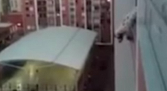 فيديو مثير.. رجل يخاطر بحياته على ارتفاع شاهق لانقاذ كلب عالق صورة رقم 3