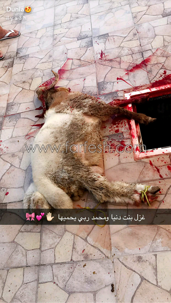 صور: دنيا بطمة تحتفل بعقيقة إبنتها غزل في البحرين صورة رقم 3