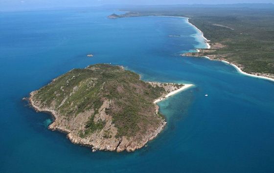 هذه قصة المليونير التائه على احدى الجزر الاسترالية؟ فيديو صورة رقم 23