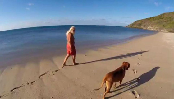 هذه قصة المليونير التائه على احدى الجزر الاسترالية؟ فيديو صورة رقم 18