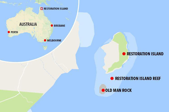 هذه قصة المليونير التائه على احدى الجزر الاسترالية؟ فيديو صورة رقم 24