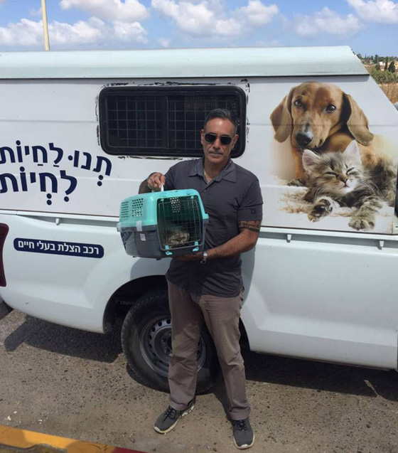 علاج قطة من غزة في إسرائيل يثير الجدل! هل حياة الحيوان أهم من الانسان؟ صورة رقم 4