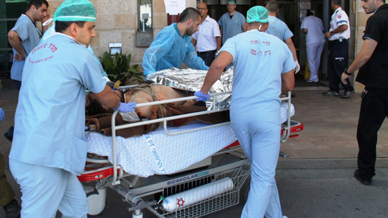 إسرائيل تنوي إقامة مستشفى في الجولان لمعالجة سوريين صورة رقم 3