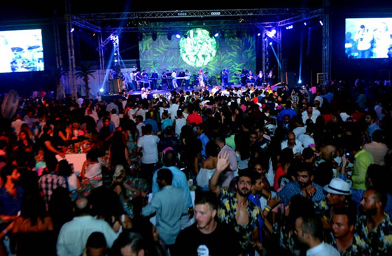 صور مغني (ديسباسيتو) في اول حفل له بمصر مع نيكول سابا صورة رقم 9