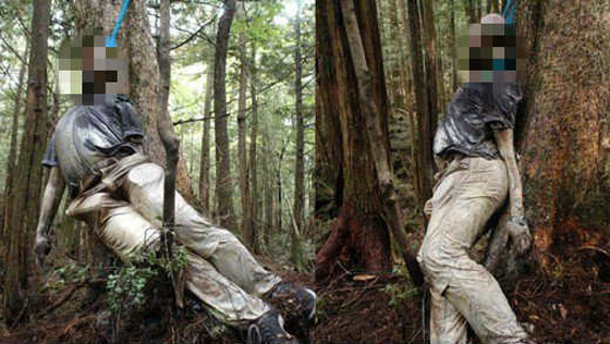 أفضل مكان للموت.. معلومات مدهشة عن غابة الانتحار اليابانية صورة رقم 3