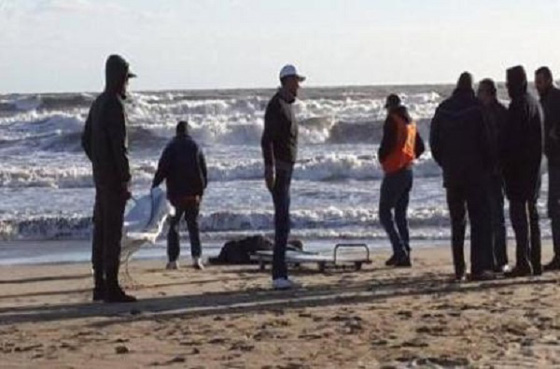 صدمة مروعة في المغرب: أشلاء بشرية على الشاطئ والجثة مختفية! صورة رقم 3