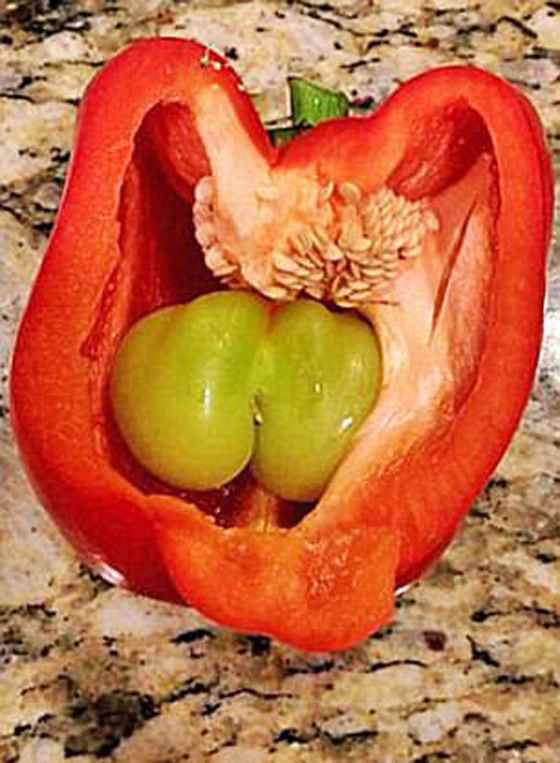 صور طريفة.. أغرب أشكال الفاكهة والخضروات صورة رقم 2
