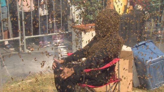 رقم قياسي جديد: جلس لمدة 61 دقيقة ووجهه مغطى بطبقة من النحل! فيديو صورة رقم 1