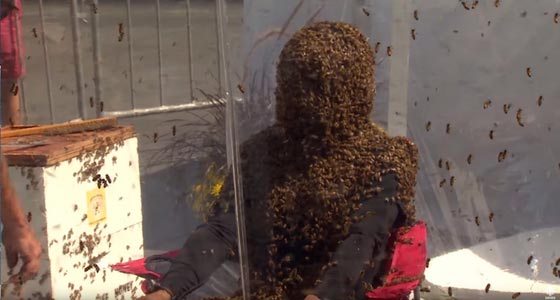 رقم قياسي جديد: جلس لمدة 61 دقيقة ووجهه مغطى بطبقة من النحل! فيديو صورة رقم 3