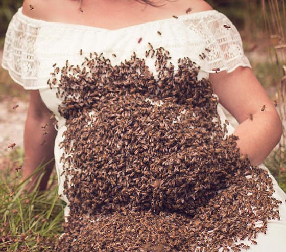 صور مذهلة: امرأة حامل تلتقط صورا لها مع 20 ألف نحلة! صورة رقم 3