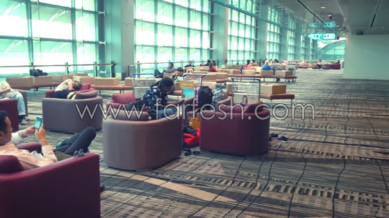 حديقة فراشات وسينما والعديد من الاشياء المبهجة بانتظارك في مطار سنغافورة صورة رقم 5
