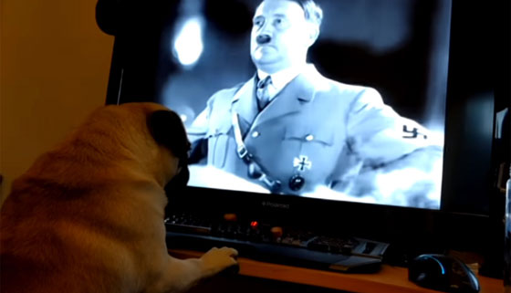 رفضته كل محلات العمل لانه درب كلب صديقته على تحية هتلر! صورة رقم 3