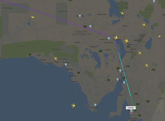 هبوط اضطراري لطائرة إماراتية على متنها 349 راكبا في أستراليا صورة رقم 4