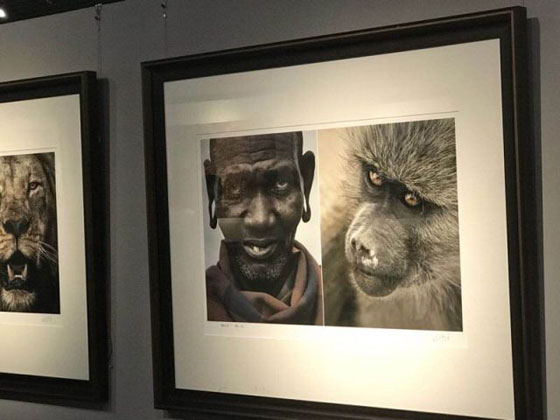 الصين: إغلاق معرض بسبب مقارنة الأفارقة بالحيوانات.. فيديو وصور صورة رقم 14