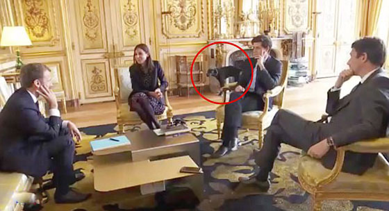 بالفيديو.. كلب  الرئيس الفرنسي يحرجه خلال اجتماعه بحكومته صورة رقم 1