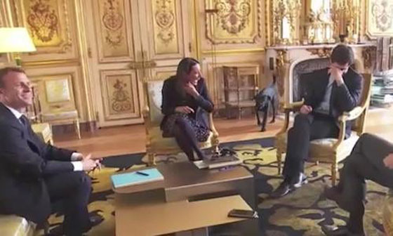 بالفيديو.. كلب  الرئيس الفرنسي يحرجه خلال اجتماعه بحكومته صورة رقم 6