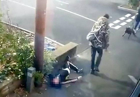 فيديو صادم.. رجل يركل رأس امرأة فقدت وعيها في الشارع صورة رقم 3